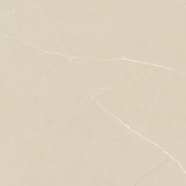 Piso Cerâmica Lumiere Bone 76X76 RET ES 17700
